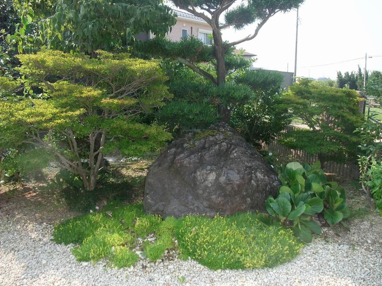 当社施工の日本庭園。もともとあった植栽や石をそのまま使用し、お庭のレイアウトを考え施工しました。