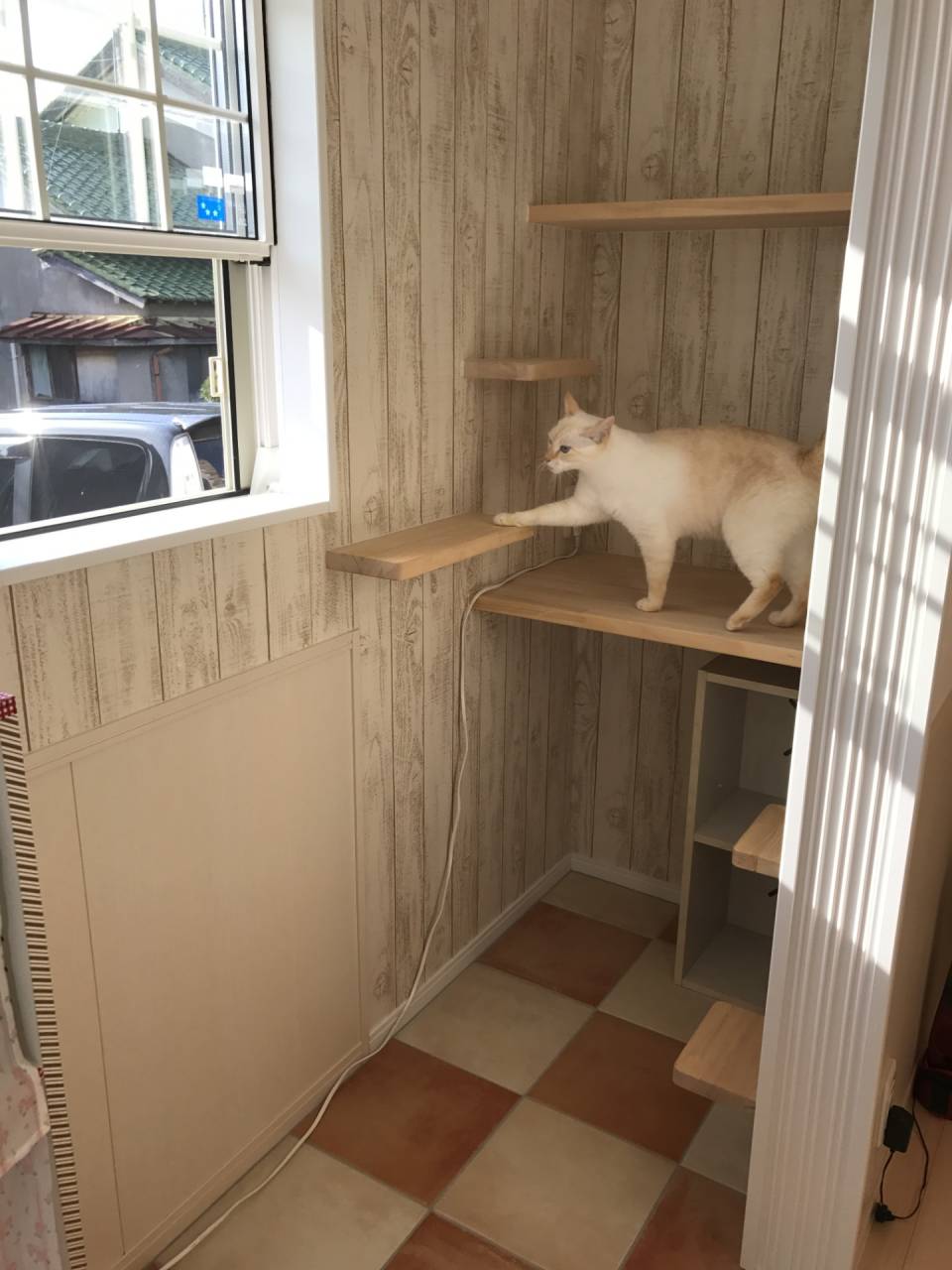 【一宮市】【工務店】猫も人も心地よく暮らせる「キャットウォーク」のある住まい